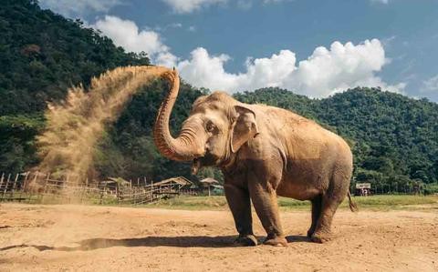 My Paradise: Family fun in northern Thailand