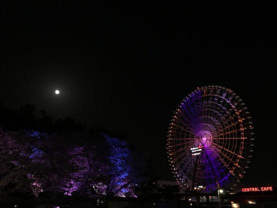 好き＆行ってみたい「大阪府のお月見スポット」ランキング！ 2位「万博記念公園」を抑えた1位は？【2025年調査】 - All About ニュース