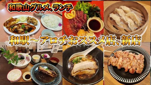 【和歌山グルメ】和歌山駅周辺の視聴者の方のおススメのお店や新店