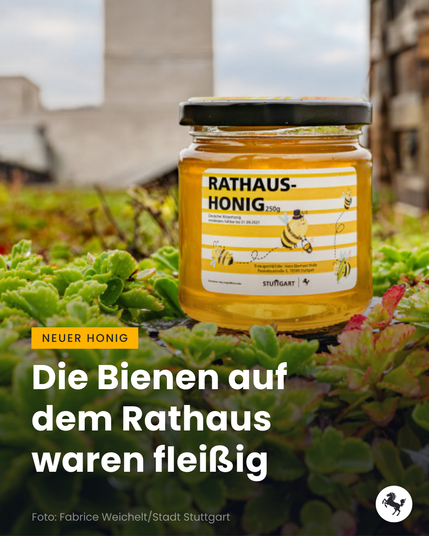 Ein Glas Rathaus-Honig steht auf einem begrünten Dach, im Hintergrund ist das Stuttgarter Rathaus erkennbar. Titel: "Die Bienen auf dem Rathaus waren fleißig."