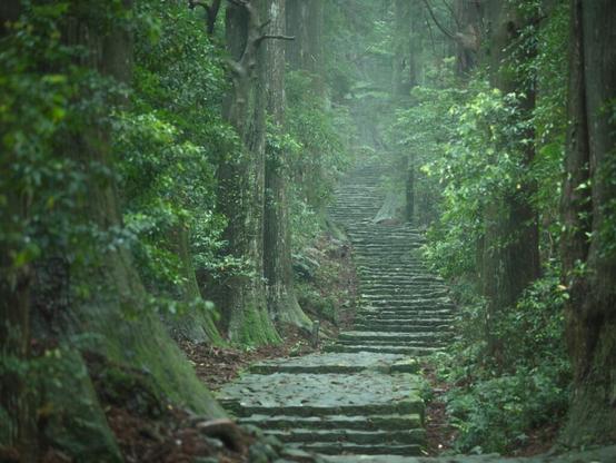 好き＆行ってみたい「和歌山県のお月見スポット」ランキング！ 2位「熊野古道・大門」を抑えた1位は？【2025年調査】 - All About ニュース