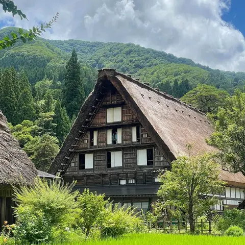 冬だけじゃない。岐阜・白川郷で今の季節だからこそ楽しめる、自然いっぱいのスポットをご紹介