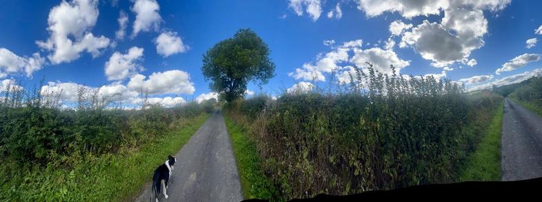 A view from the fork in the road under a blue sky and mainly white clouds. A dug is before me