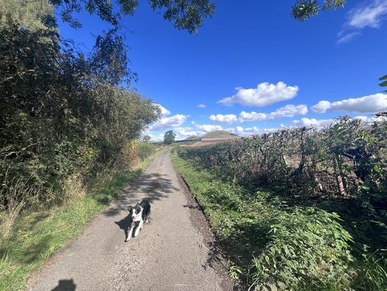 Looking toward the Mintos under a blue sky and 3k into the run
