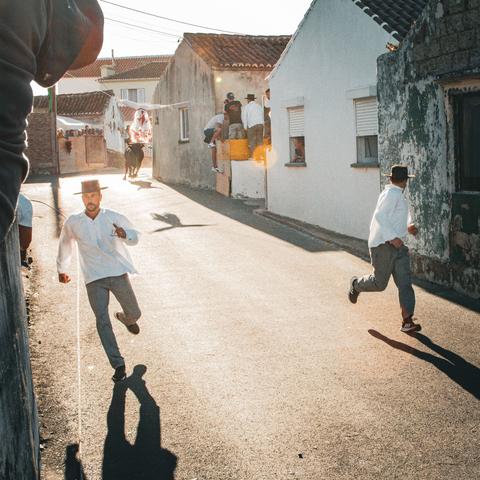 Tourada Da Corda // Terceira, Azores