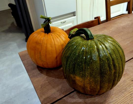 Oranssi ja vihreä kurpitsa pöydän kulmalla