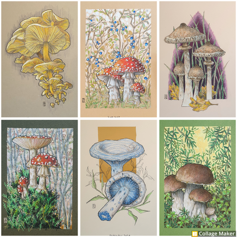 A photo collage of some of my mushroom artworks:
A cluster of yellow mushrooms, fly agaric with berries, slender parasols, fly agaric on a mossy mound in the forest, indigo milk caps and a group of penny buns in clover in the undergrowth.
