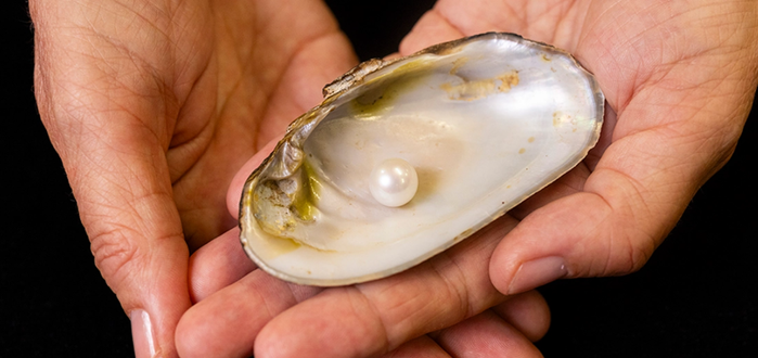 The Abernethy Pearl