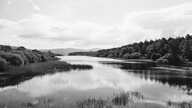 A tranquil black and white landscape photograph of Lake Blessington in County Wicklow, Ireland. Still water in the foreground perfectly reflects the silhouetted shoreline of trees and hills under a soft, overcast sky. The image conveys a mood of profound serenity and stillness.
