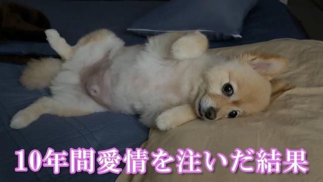 10年間、沢山の愛情を注いできた結果こうなりました…