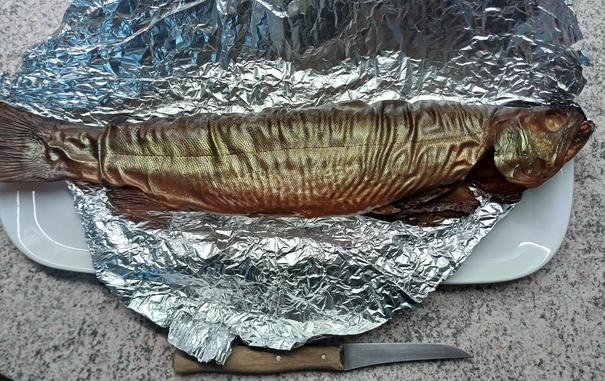 Ein ganzer Fisch Bachsaibling