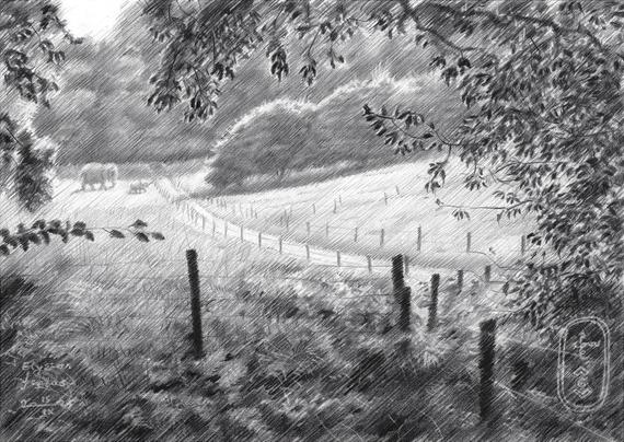 Impressionism Meets Surrealism

This graphite pencil drawing ‘Elysian Fields – 15-09-25’ combines impressionism with a bit of surrealism. Two elephants in the back and why not? Perhaps the scenery needed some excitement. Foremost, this place holds special significance for me. Back in 2008 I made an oil painting under the same name. It must have been ages ago since I visit the place for the first time. That was back in the 70s together with my parents. The name ‘ Elysian Fields’ does justice to the place: meadows of pure tranquility amidst forests against hill slopes. If you ever visit Nijmegen, promise me you will visit this place as well.

Repoussoirs and Contrast

Some weeks ago I went for a walk up there. Farther to the right in the back you can follow a path to the Natte Beek. There I drew some cows with view on Persingen’s little church. Obviously, at least to me, that was the first drawing I would like to make. Second was this view on these fields, coming from the Ravenberg. These kinds of views with some tree branches serving as repoussoirs are the best. Actually, when you’re standing over there it’s quite boring from an artistic point of view. Indeed, you can look around and see beauty in each and every direction. However, it’s a lot of grass indeed. Therefor, contrast is what I’m looking for. Basically one thing supplements another: darkness and light, thin lines against massive structures, etc. Now you know what drives me the most.