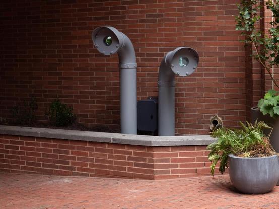 From a few feet away, their setting is more apparent. They are at two different heights, pointed, as if curious creatures, in two different directions.