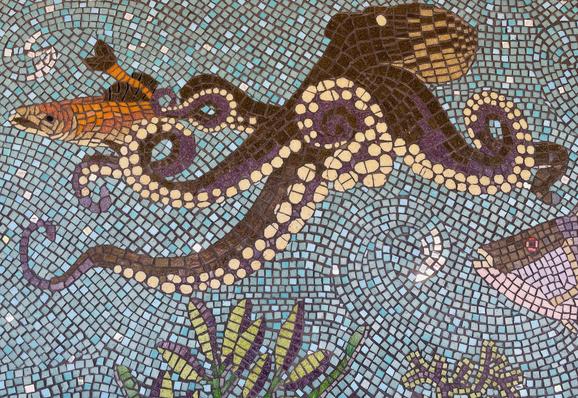 Marine life in hot and acid ocean, mosaic NSW