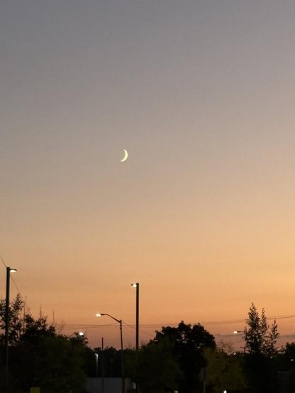 A sunset with some city streetlights, buildings, and trees appearing in silhouette against an orange sky that fades to grey at the top and a crescent moon.
