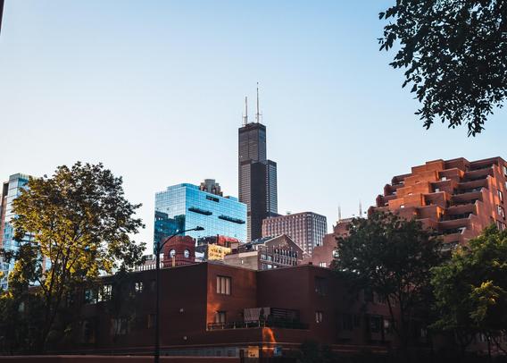 Chicago cityscape featuring modern skyscrapers, including the Sears tower prominently in the middle, surrounded by trees and residential structures. The sky is clear, and the lighting suggests late afternoon.