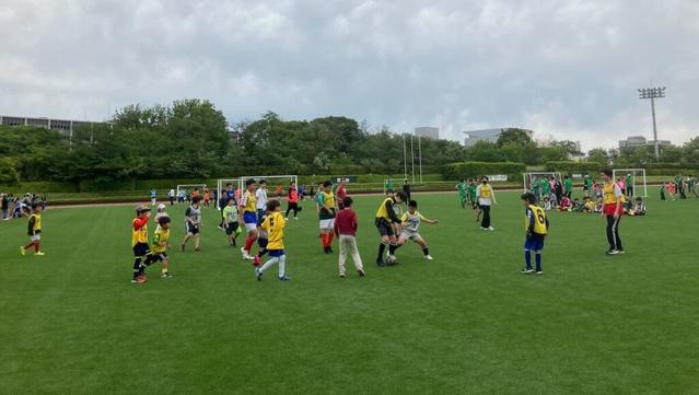 第1回稲城市ジャイアンツタウン東京ヴェルディインクルーシブスポーツ大会開催のお知らせ | 東京ヴェルディ / Tokyo Verdy