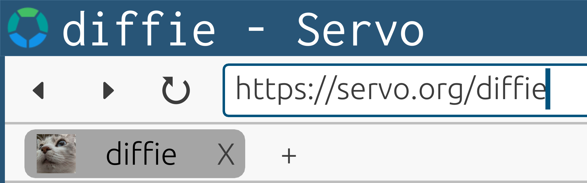 servoshell showing a diffie favicon in the tab bar