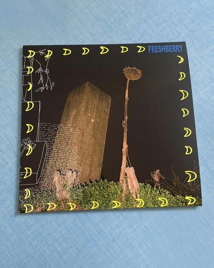 Photo d'une pochette vinyle sur fond bleu.