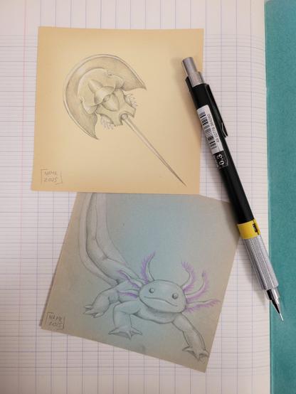 Deux post-it posés sur une feuille de cahier avec un critérium à côté. L'un des deux est jaune passé avec une limule et l'autre bleu décoloré avec un axolotl. Les deux animaux sont dessinés au crayon gris et blanc