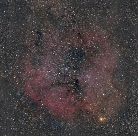 Elephants trunk nebula in full spectrum RGB.
