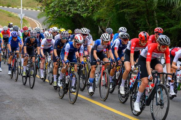 A group of cyclists in competitive attire are riding in a race, seen from behind. They are navigating a curved road, with multiple bicycles in motion showing various colors and styles. The setting appears outdoors with trees in the background.