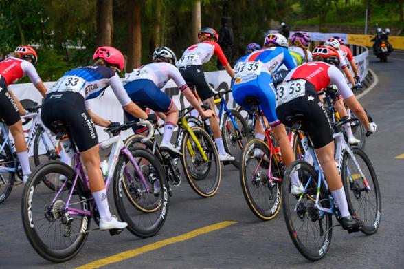 A group of cyclists in competitive attire are riding in a race, seen from behind. They are navigating a curved road, with multiple bicycles in motion showing various colors and styles. The setting appears outdoors with trees in the background.
