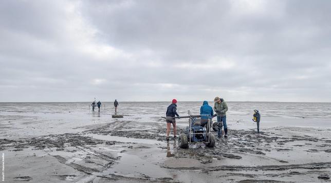 Mit Geophysik und Bohrungen werden im nordfriesischen Watt Kulturspuren erfasst, die über archäologische Grabungen nicht erreichbar sind. (Foto/©: Hanna Hadler)
