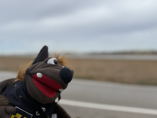 Gaston an der Startbahn des Flughafen Malta