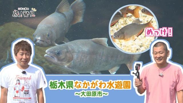 U字工事の旅！発見#305 なかがわ水遊園　～栃木県・大田原市～