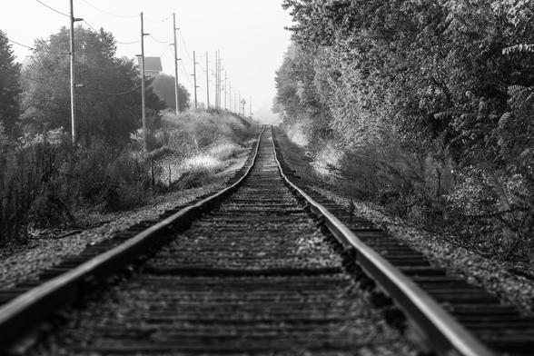 Black and white photographed of a set of railroad tracks bounded on the right by trees and undergrowth and on the left by a tall grass-covered bank with bushes, a few trees, and a line of utility poles that run along it. The tracks begin at the bottom of the frame and extend uphill to a point in the upper center half of the frame where they disappear behind the top of the hill. The tracks take up the bottom of the frame and angle up towards each other due to the perspective. The wood ties are dark and the area between them are filled with large rock gravel and the rails are smooth and reflective. Along the length of the rails there are small variations in the rail positioning so that they are slightly wavy rather than a straight.