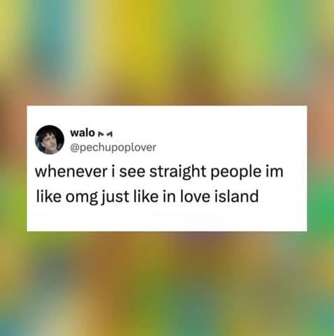 Screenshot of a tweet that says: “whenever i see straight people im like omg just like in love island.” The joke equates seeing straight couples in real life to watching the reality TV dating show Love Island.