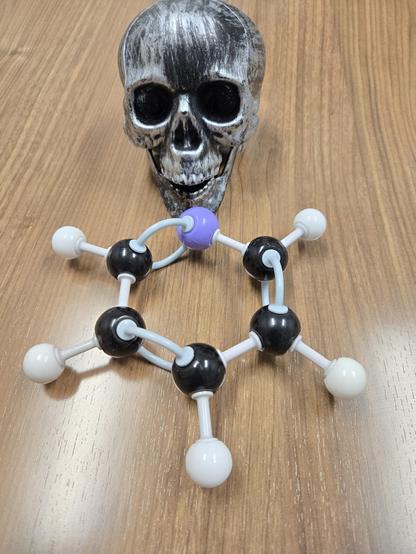 Organic chemistry molecular model kit set on a wooden counter with a silver, skull decoration immediately next to it. The model has a ring of five black balls and a single purple ball with angled connections between them in a ring pattern connected with alternating single and double pair connection points. The black balls all have a single white ball connected to them.