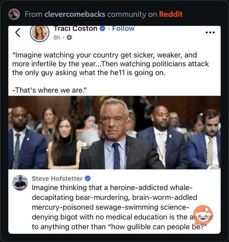 The image features a Reddit post about the country's health and political climate, including a quote from Traci Coston about societal issues. Below it is a comment from Steve Hofstetter, asking readers to imagine thinking that a heroin addicted, brain worm addled bigot with no medical education is the answer.