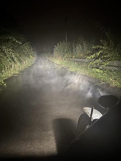 Eine durch den Fahrradscheinwerfer beleuchtete, neblige Straße, umgeben von Vegetation bei Nacht. Im Vordergrund ist ein Teil eines Lastenfahrrades zu sehen, und Nebel steigt vom Asphalt auf und erzeugt eine geheimnisvolle Atmosphäre.