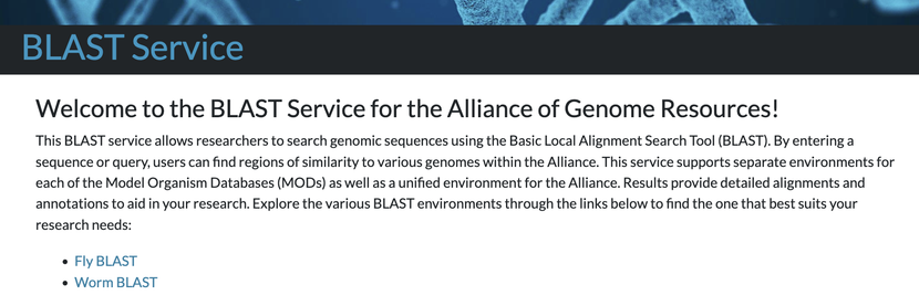Screenshot of the Alliance of Genome Resources BLAST page.
BLAST Service
Welcome to the BLAST Service for the Alliance of Genome Resources! This BLAST service allows researchers to search genomic sequences using the Basic Local Alignment Search Tool (BLAST). By entering a sequence or query, users can find regions of similarity to various genomes within the Alliance. This service supports separate environments for each of the Model Organism Databases (MODs) as well as a unified environment for the Alliance. Results provide detailed alignments and annotations to aid in your research. Explore the various BLAST environments through the links below to find the one that best suits your research needs:
Fly BLAST
Worm BLAST