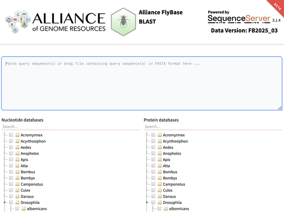 Screenshot of the Alliance of Genome Resources FlyBase BLAST server, with the Alliance logo and Fly hexagon at the top, a search box where one can paste in a sequence, and a clickable list of nucleotide and protein databases one can search against.