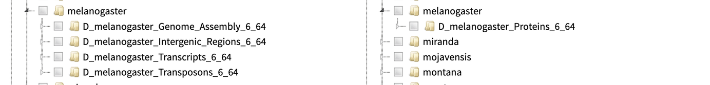Screenshot of the Alliance Fly BLAST, showing the options to search D. melanogaster nucleotide and protein databases.