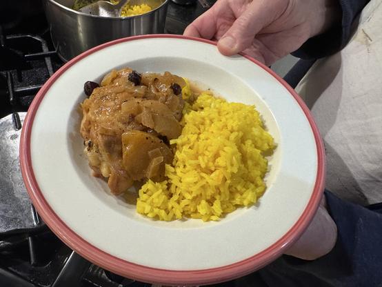 Hand holding dish with chicken and rice in front of stove.
