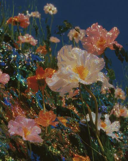 flowers with iridescent petals