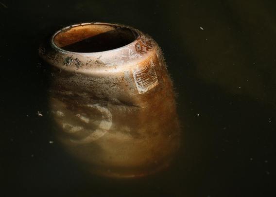 A Coca-Cola can floating in a pond.