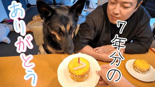 愛犬の７歳の誕生日にミルクレープを作ったら、家族みんなが幸せになりました