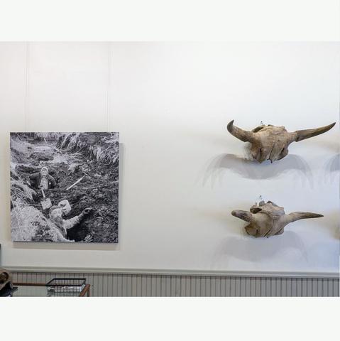 This channel was packed with bison and other mammal remains. Local citizen Pat Cherney, along with his wife and several friends, salvaged everything they could before the bulldozers rolled in. Included in their efforts were over 100 skulls or partial skulls.