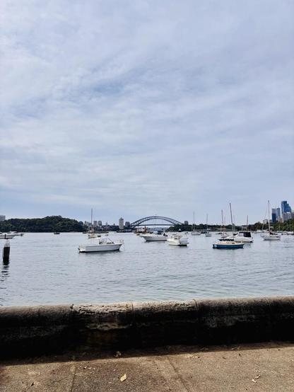 View of little yachts anchored in Sydney harbour, with Sydney Harbour Bridge in background.