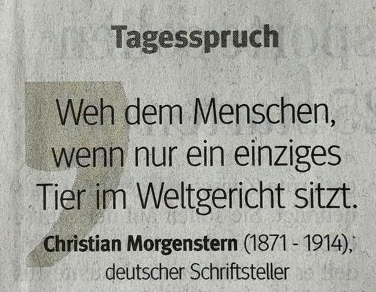 Das Bild zeigt ein Zitat des deutschen Schriftstellers Christian Morgenstern mit der Aufschrift: "Wehe dem Menschen, wenn nur ein einziges Tier im Weltgericht  sitzt." Das Zitat wird in einem Zitatformat mit dem Namen des Autors und den Daten (1871-1914) präsentiert.

The image features a quote by German writer Christian Morgenstern, reading: "Woe to the man, if only a single animal sits in the world court." The quote is presented in a quote format with the author's name and dates (1871-1914).