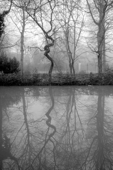 A black and white photo of a canal in Oxford on a foggy winter’s day. Silhouetted trees of different kinds line the canal banks, and are reflected perfectly in the still water. One tree trunk is particularly wobbly.
There’s been a murder, Lewis.