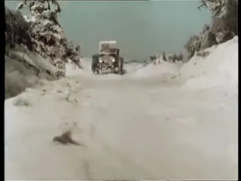 Toad speeds along in a car and knocks down a policeman