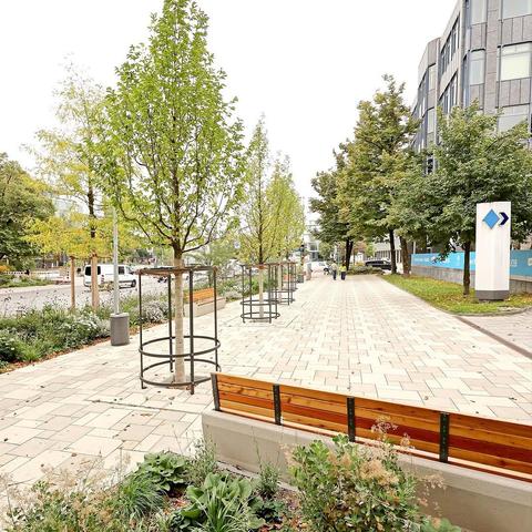 Das Bild zeigt eine gepflegte Fußgängerzone in einer städtischen Umgebung. Im Vordergrund befindet sich ein gepflasterter Bürgersteig mit mehreren Holzbanken, die für die Ruhe und Entspannung der Passanten gedacht sind. Die Bänke sind mit Metallgestellen versehen und bieten Platz für mehrere Personen. Links und rechts des Bürgersteigs sind junge Bäume in Metallständern gepflanzt, die mit Schutznetzen versehen sind, um sie vor Wind und Tieren zu schützen. Die Bäume sind in voller Blüte und tragen grüne Blätter. Der Bürgersteig ist von einer gepflegten Grünanlage begleitet, die mit verschiedenen Pflanzen und Blumen geschmückt ist. Im Hintergrund sind moderne Gebäude zu sehen, einschließlich eines mit einem blauen Schild, das möglicherweise ein Unternehmen oder ein Gebäudekomplex kennzeichnet. Die Straße neben dem Bürgersteig ist mit Fahrzeugen befahren, und die gesamte Szene wirkt sauber und gut gepflegt.