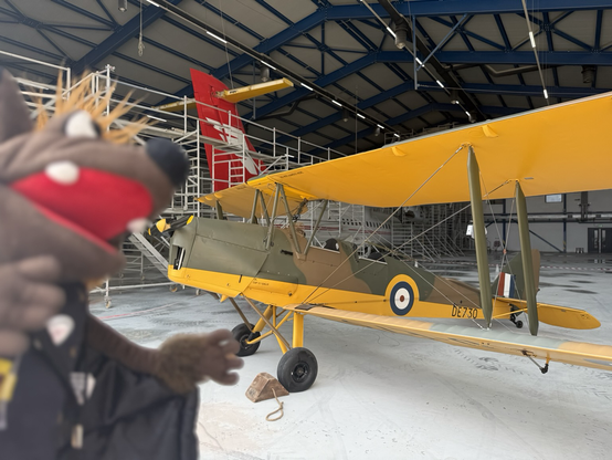 Gaston vor der maltesischen Tigermoth bei der Malta Airshow