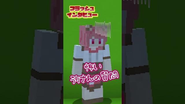 フラッシュインタビュー （うり＆のあ）#からぴち #マイクラ #マインクラフト